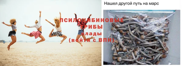 тгк Баксан