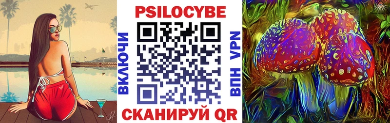 Купить где Серафимович Галлюциногенные грибы Psilocybine cubensis